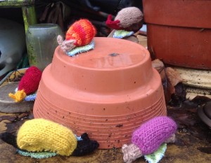 Knitted Snails for Fish and Game volunteers who will count snail and slugs.